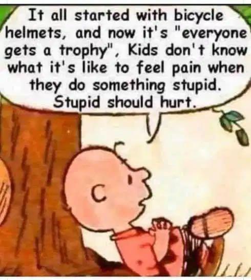 /index.php?t=getfile&id=24&private=0